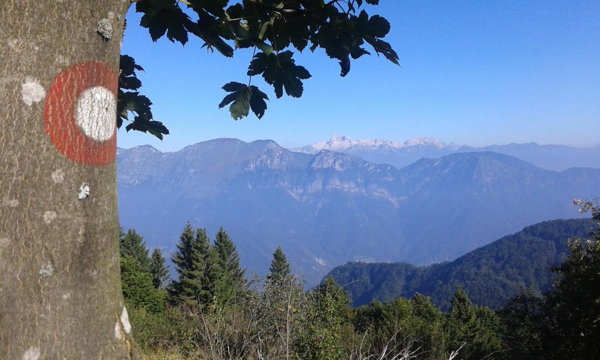 Apartment Kolman Tolmin Luaran gambar