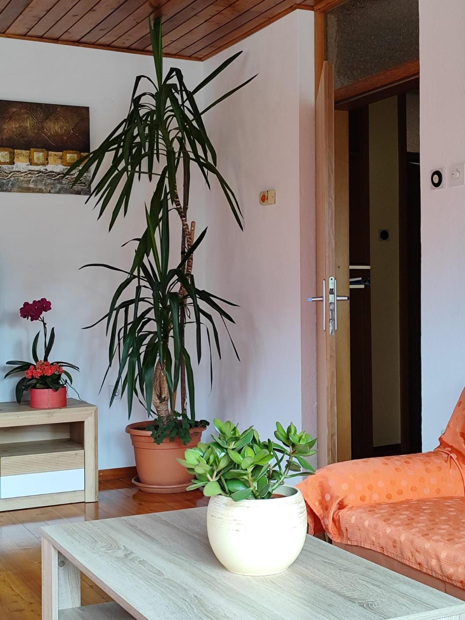 Apartment Kolman Tolmin Luaran gambar